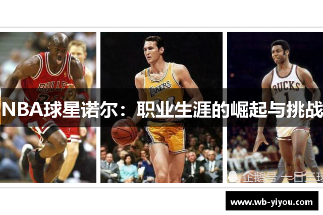 NBA球星诺尔：职业生涯的崛起与挑战